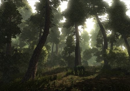 Risen 1